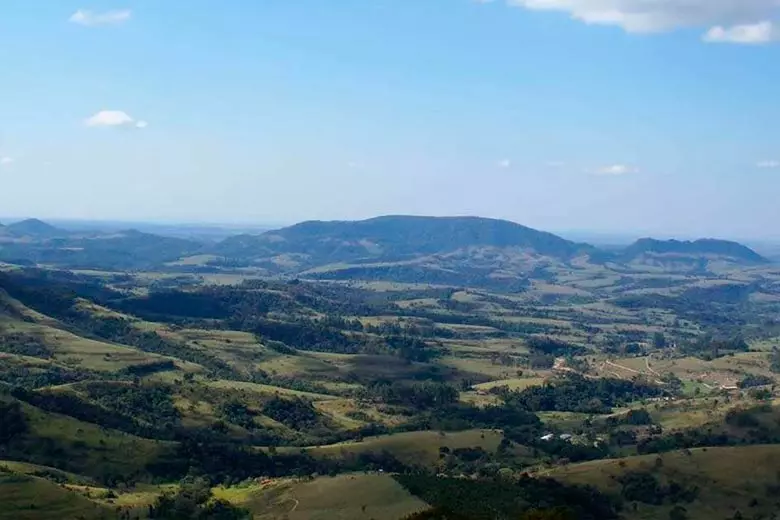 pardinho gigante adormecido 3