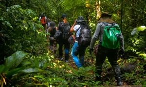 Explorando a Natureza e a Cultura do Interior de São Paulo